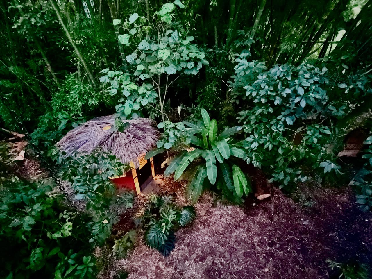 Espacios y naturaleza de Aldea Sabatinga en Manizales